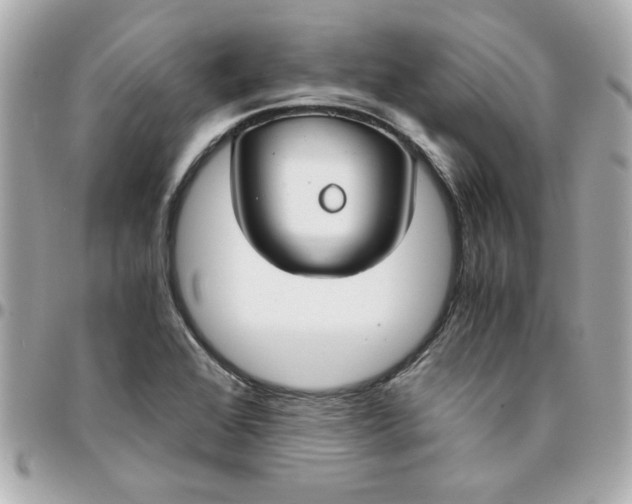 X0000096201368200802011250