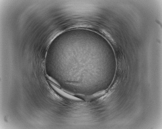 X0000096201369200802011250