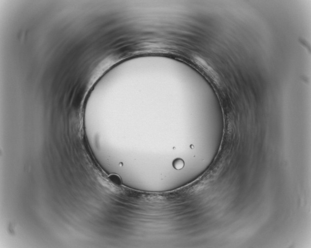 X0000096201370200802011250