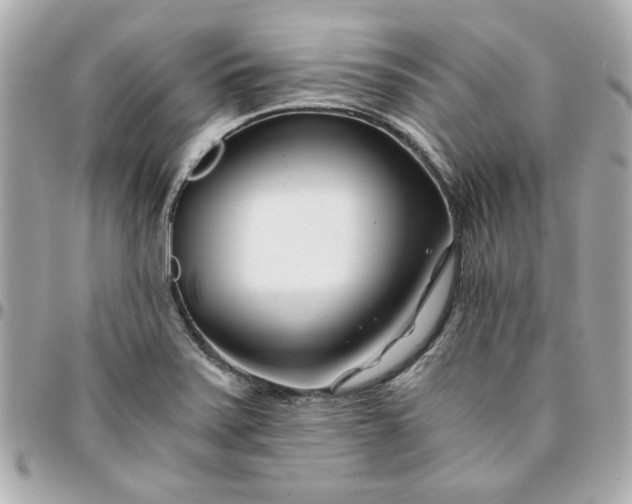 X0000096201371200802011250