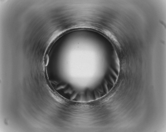 X0000096201372200802011250