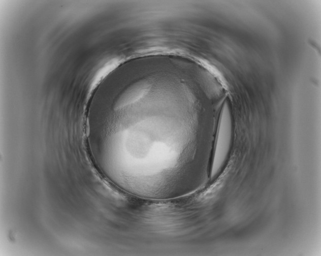 X0000096201373200802011250