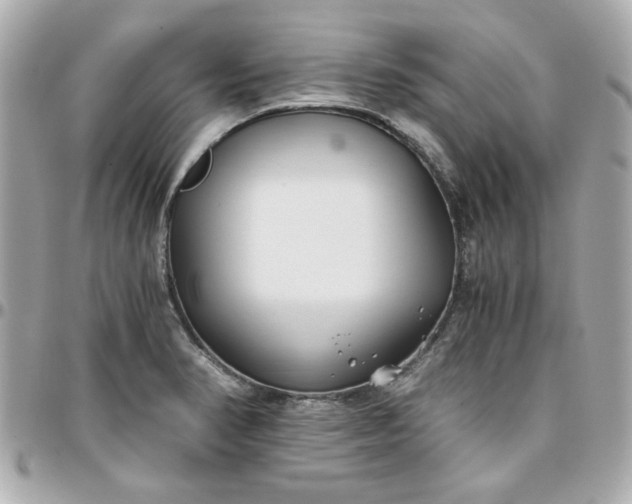 X0000096201374200802011250