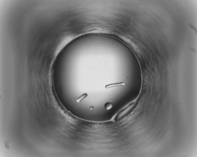 X0000096201375200802011250