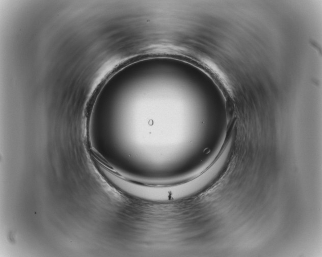 X0000096201376200802011250