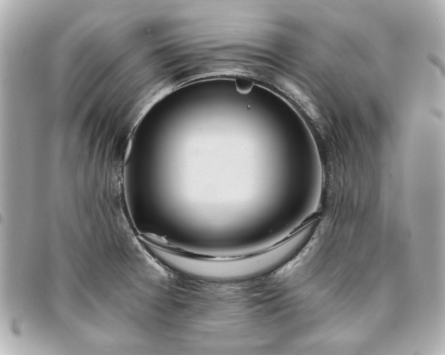 X0000096201377200802011250