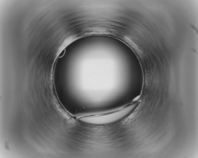 X0000096201378200802011250