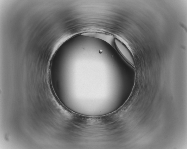 X0000096201379200802011250