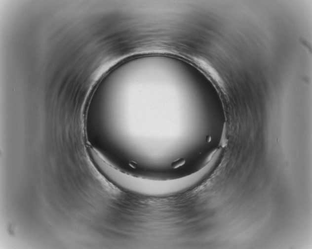 X0000096201380200802011250