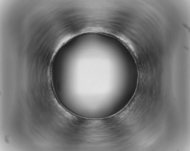 X0000096201382200802011250