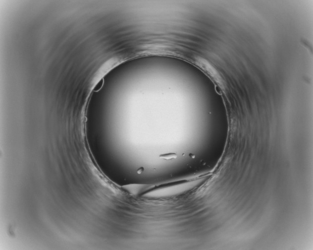 X0000096201386200802011250