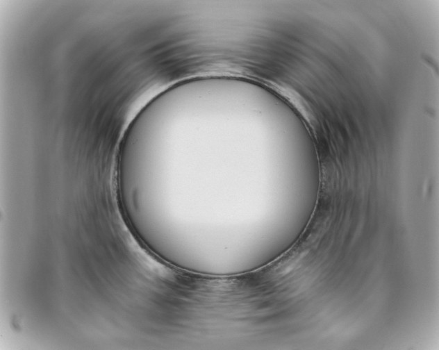 X0000096201387200802011250