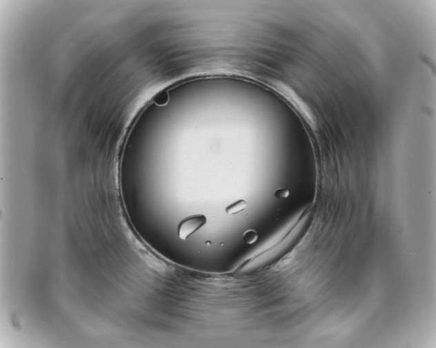 X0000096201388200802011250