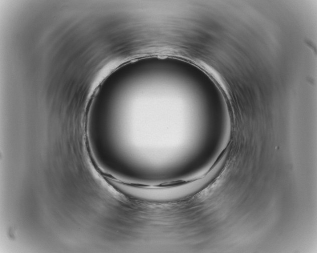 X0000096201389200802011250