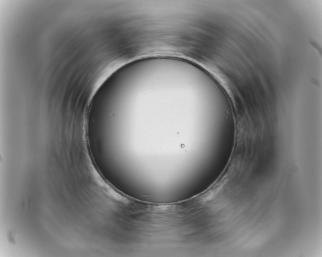 X0000096201390200802011250