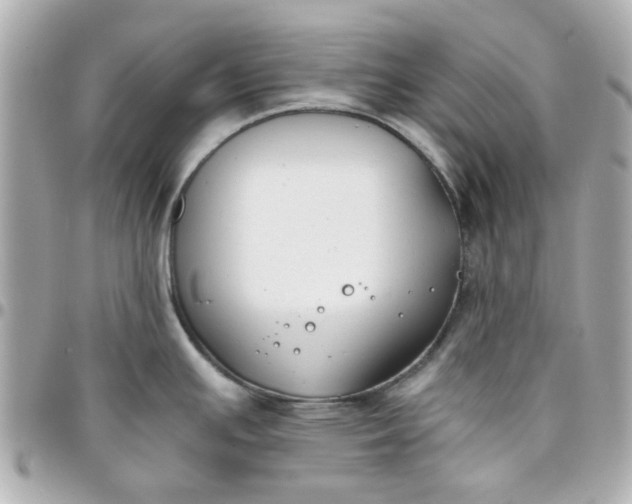 X0000096201391200802011250