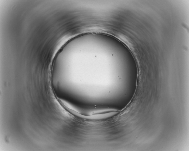 X0000096201392200802011250