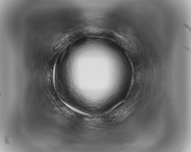 X0000096201397200802011249