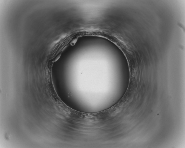 X0000096201398200802011249