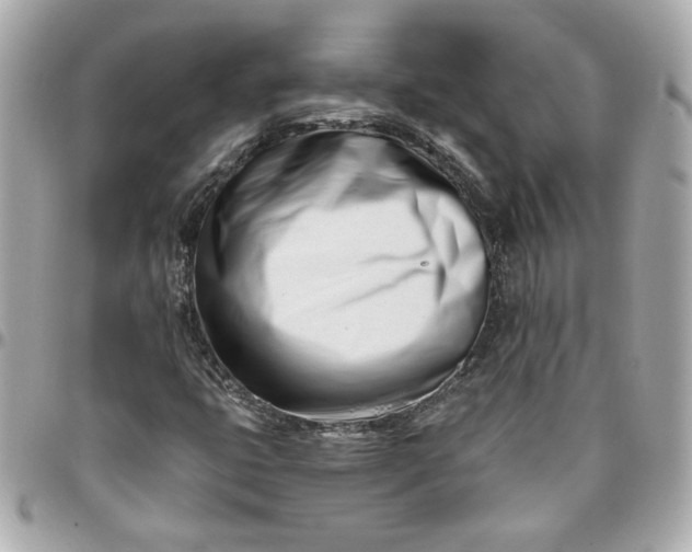 X0000096201399200802011249