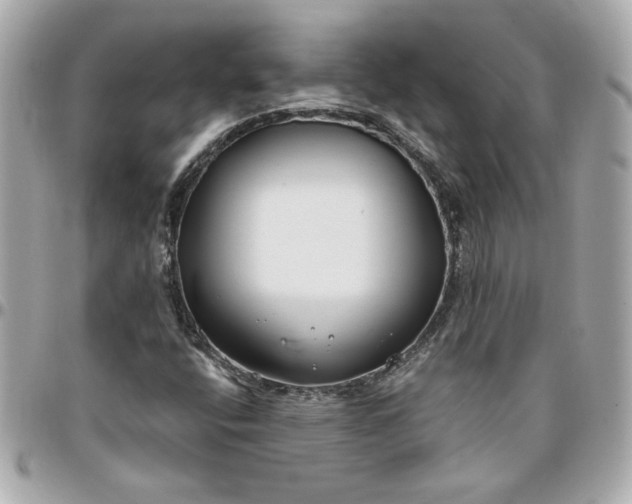 X0000096201400200802011249