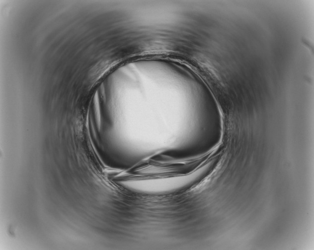 X0000096201401200802011249