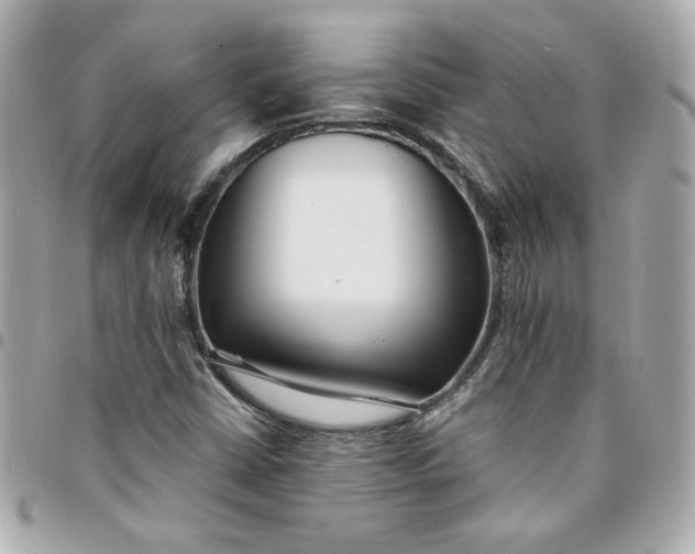 X0000096201402200802011249