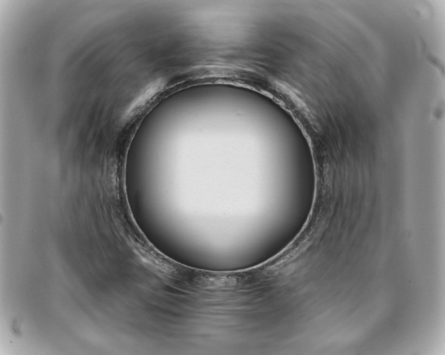 X0000096201403200802011249