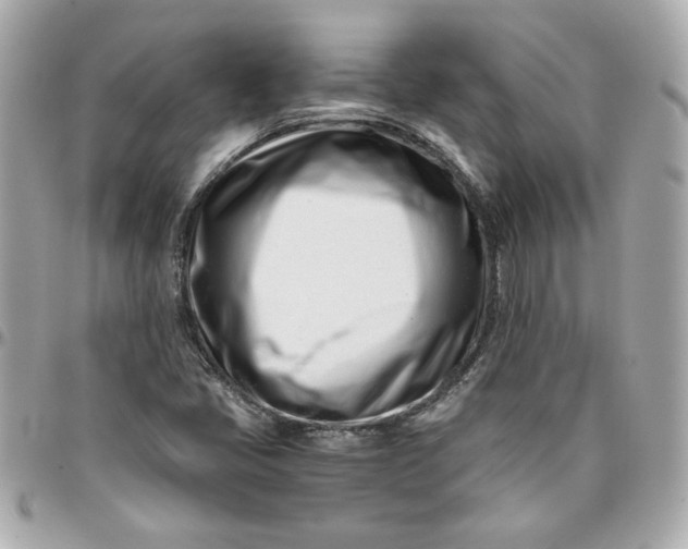 X0000096201405200802011249