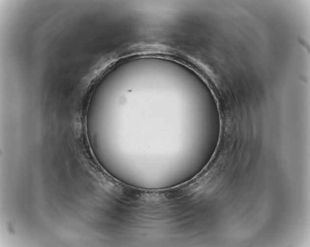 X0000096201407200802011249