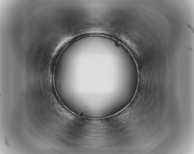 X0000096201408200802011249