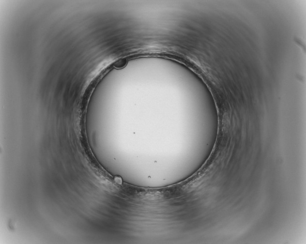 X0000096201410200802011249