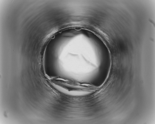 X0000096201411200802011249