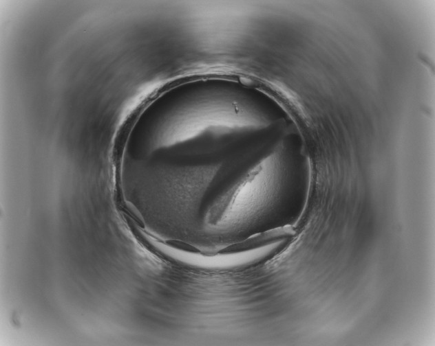 X0000096201414200802011249