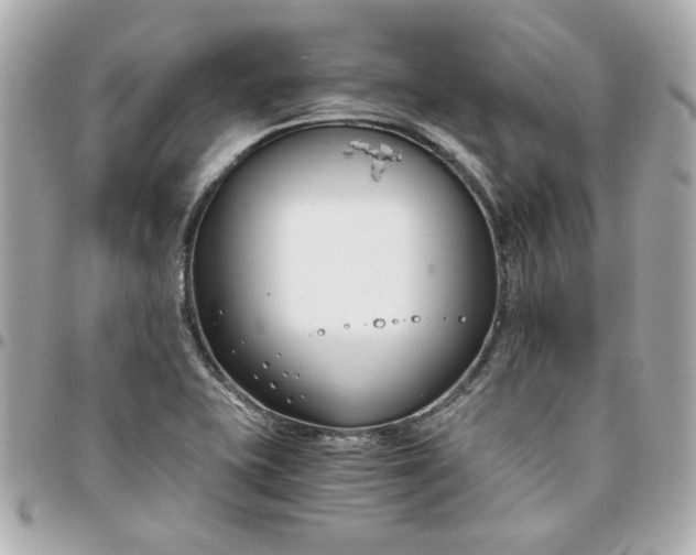 X0000096201415200802011249