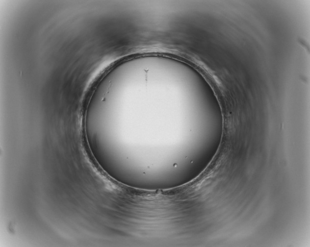 X0000096201416200802011249