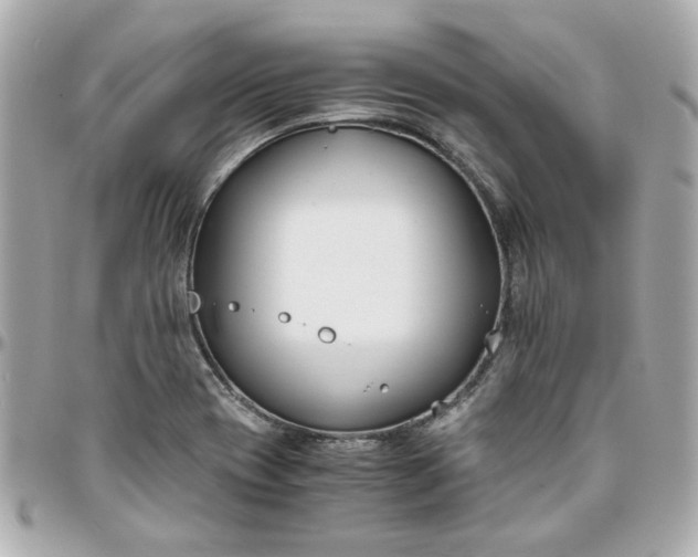 X0000096201417200802011249