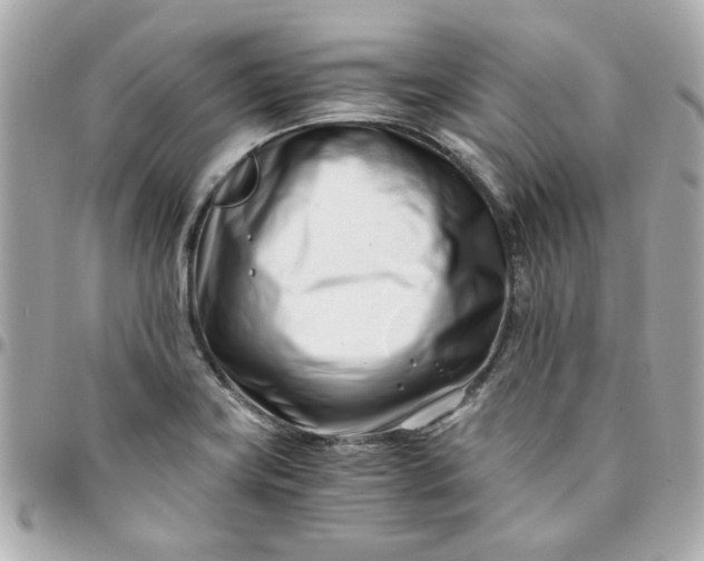 X0000096201419200802011249