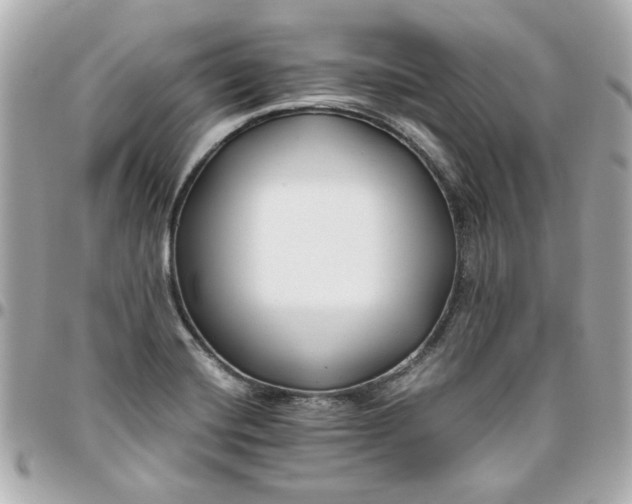 X0000096201420200802011249