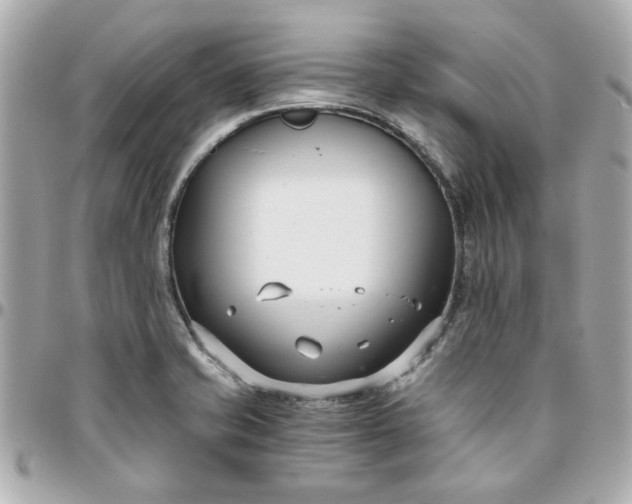 X0000096201421200802011249