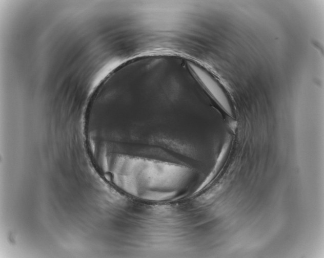 X0000096201422200802011249