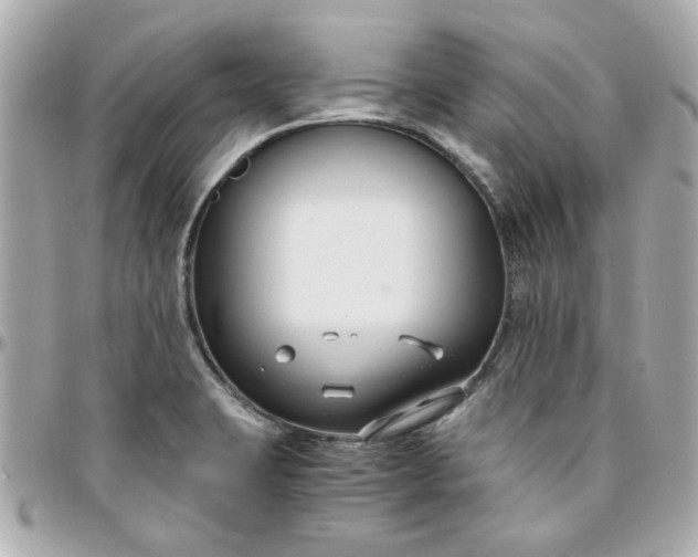 X0000096201423200802011249