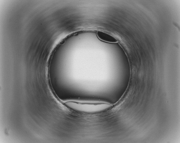 X0000096201424200802011249