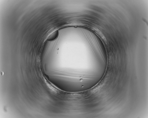 X0000096201425200802011250