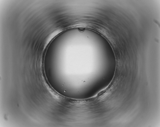 X0000096201426200802011250