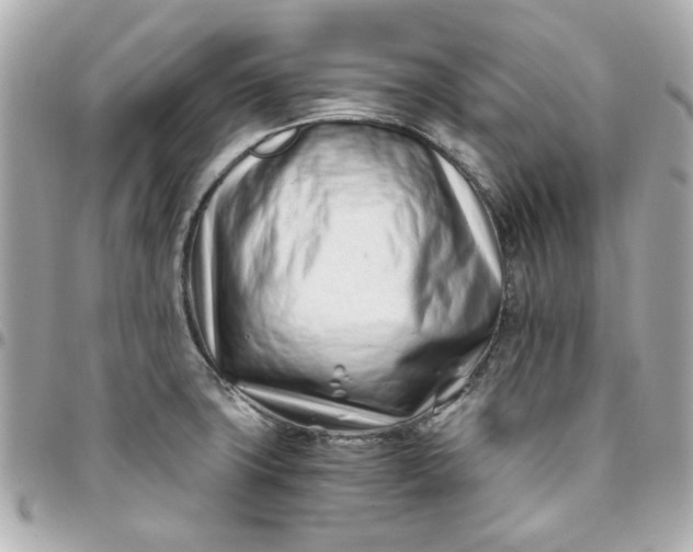 X0000096201427200802011250