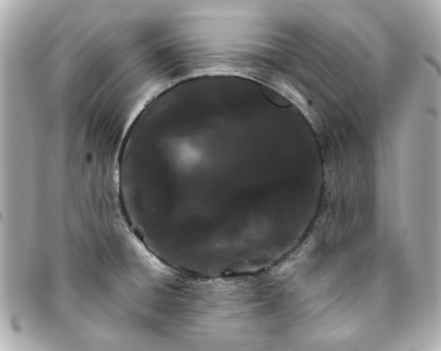 X0000096201428200802011250