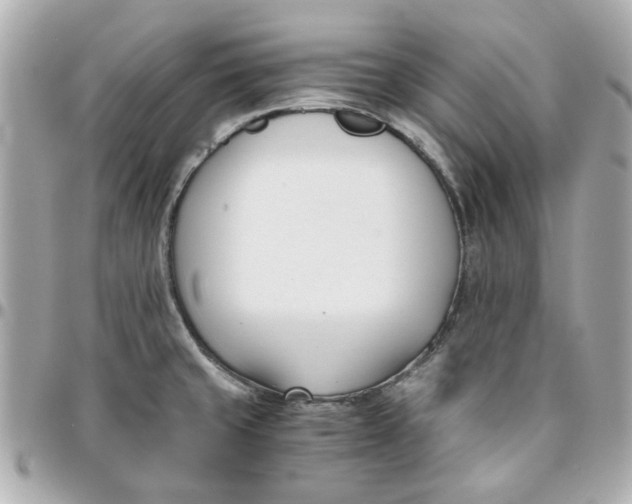 X0000096201429200802011250