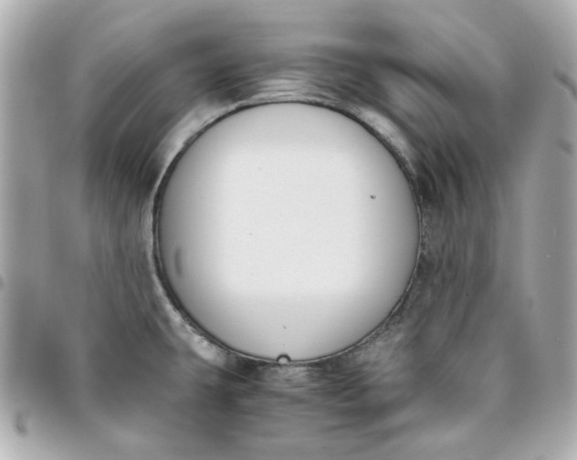 X0000096201431200802011250