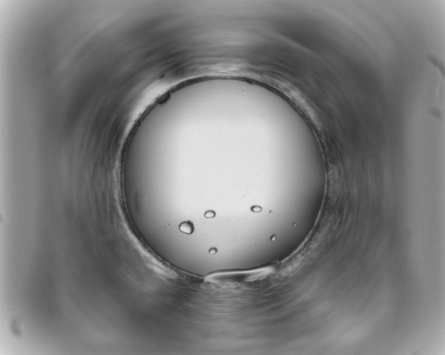 X0000096201432200802011250